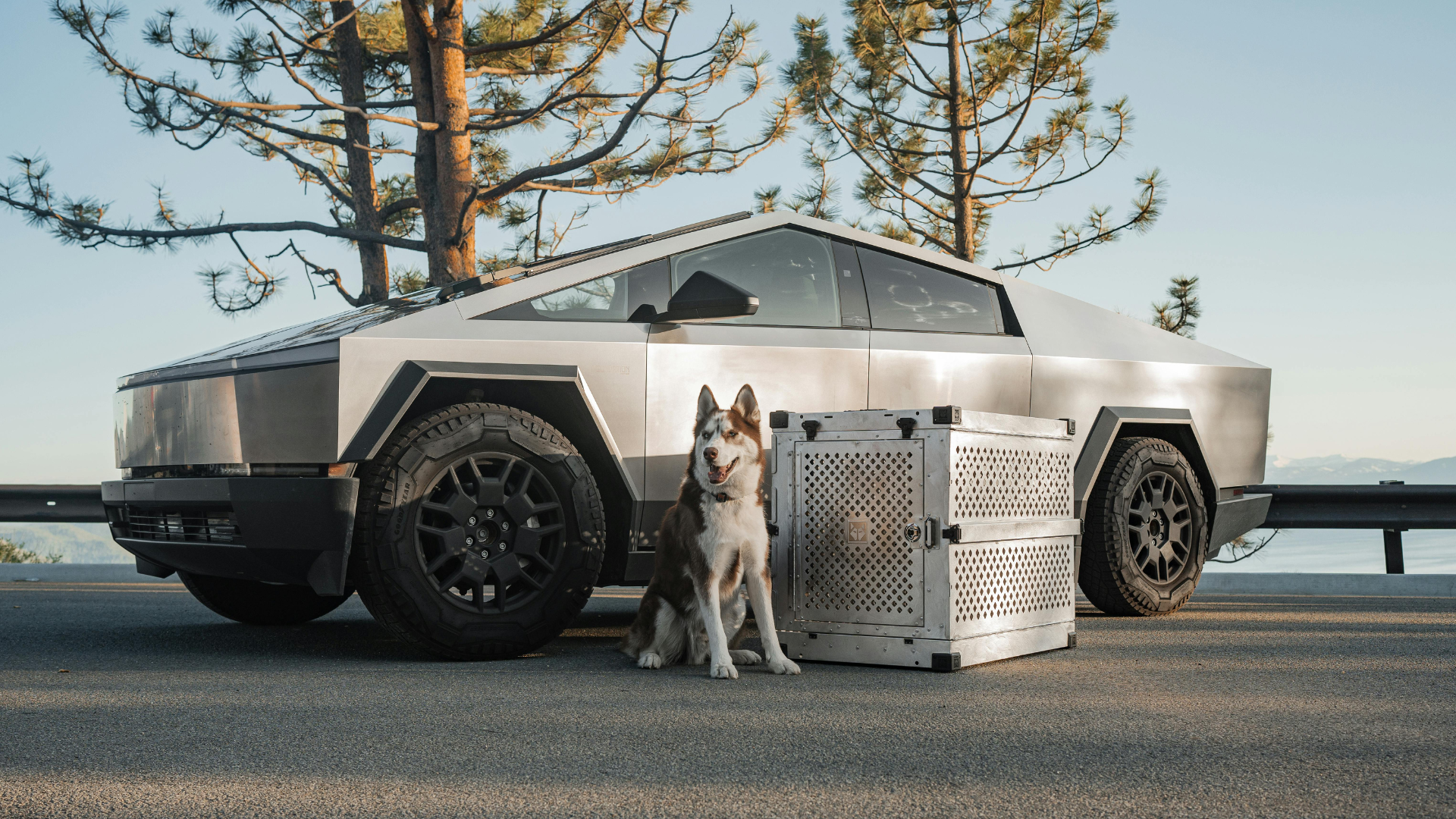 テスラ 仮想 通貨 (99) 사진